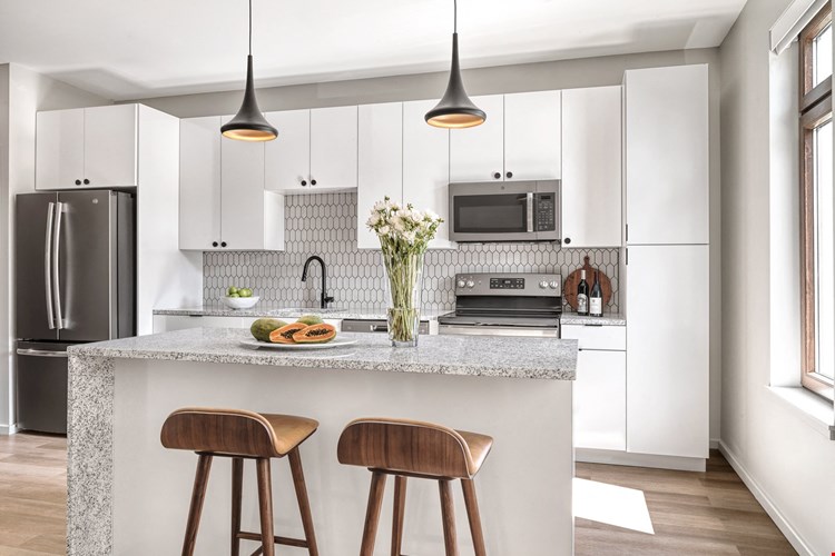 Model-White-Kitchen