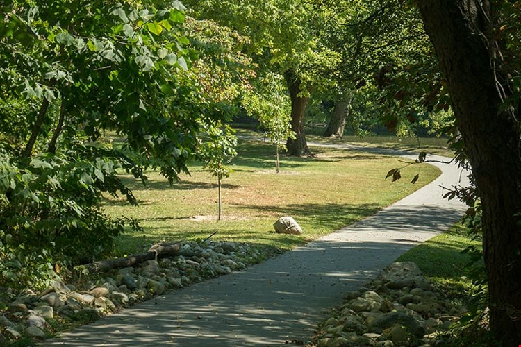 Trailview Apartments Image 1