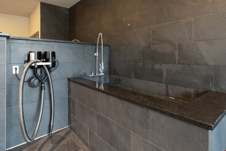 Olivian at the Realm Image 57