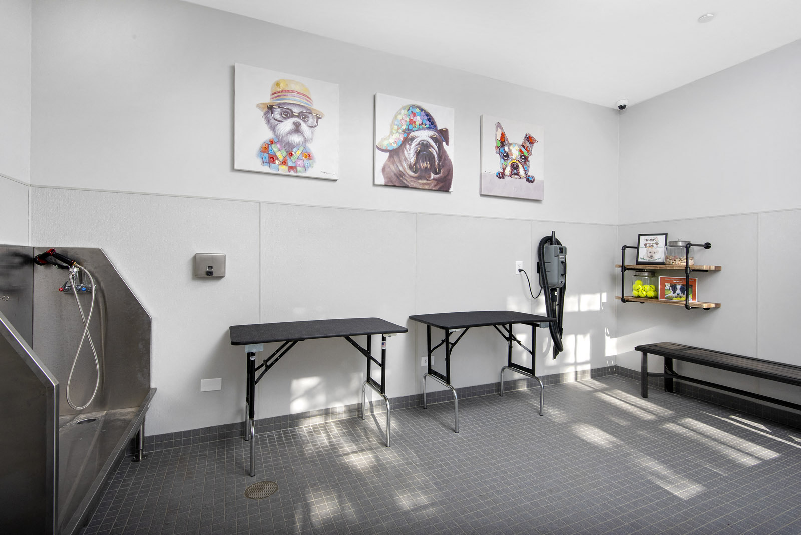 803 Corday at Naperville Image 12