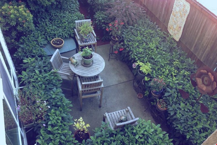 Milano Apartment Homes  Image 5