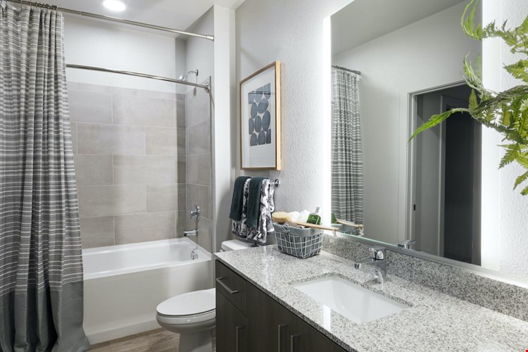 The Allure at Gateway Image 8