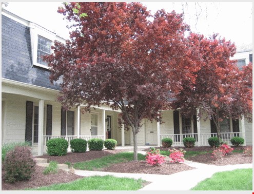 Georgetown Apartments Image 10