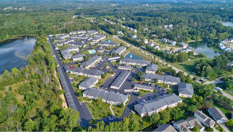 Forest Meadows Image 18