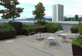 TraVigne on Eleventh Avenue Image 4