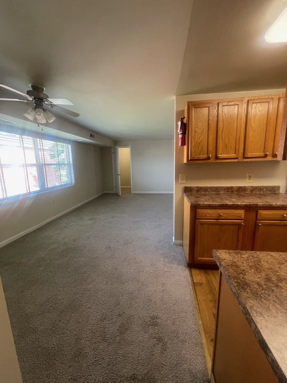 Longview Image 226
