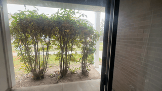 Park Lane Apartments Image 52