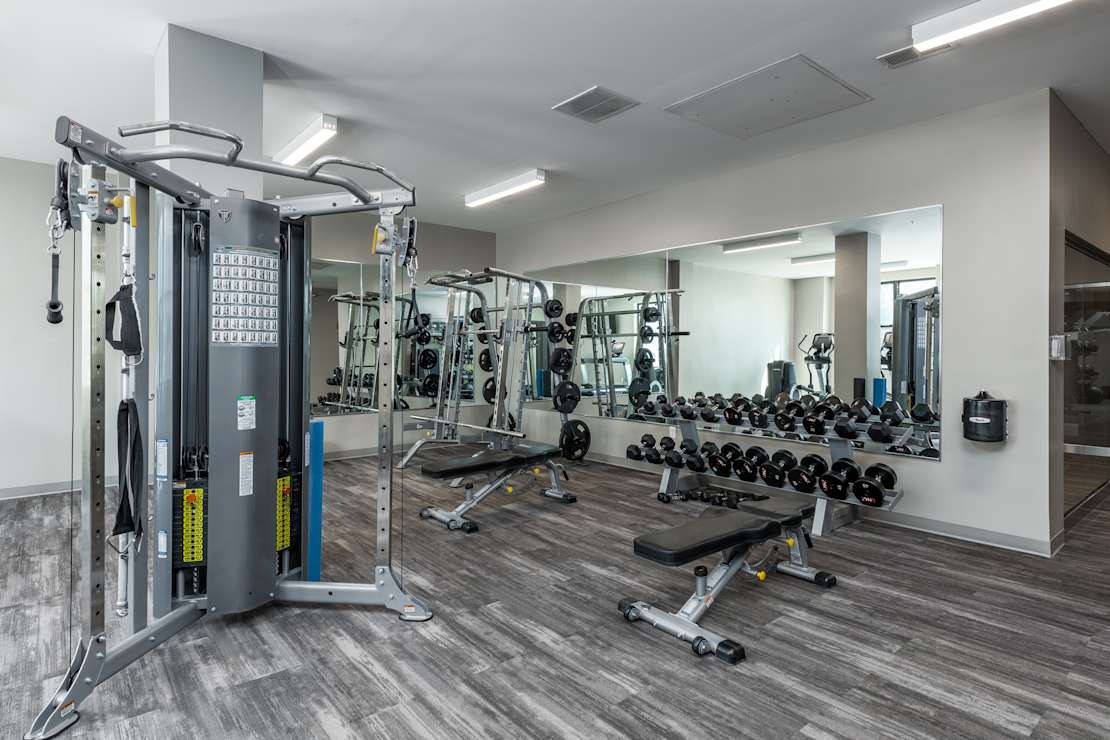 The Hibernia Image 6