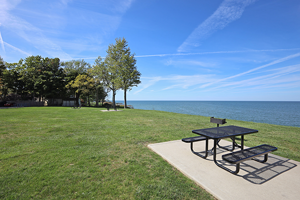 Water's Edge Image 14