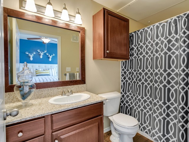 The Vine South Image 24