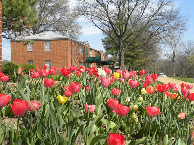 Apartments At Hampton Gardens Saint Louis
