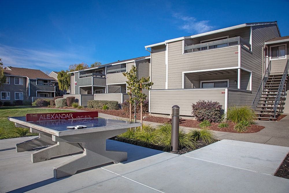 The Alexandar Image 23