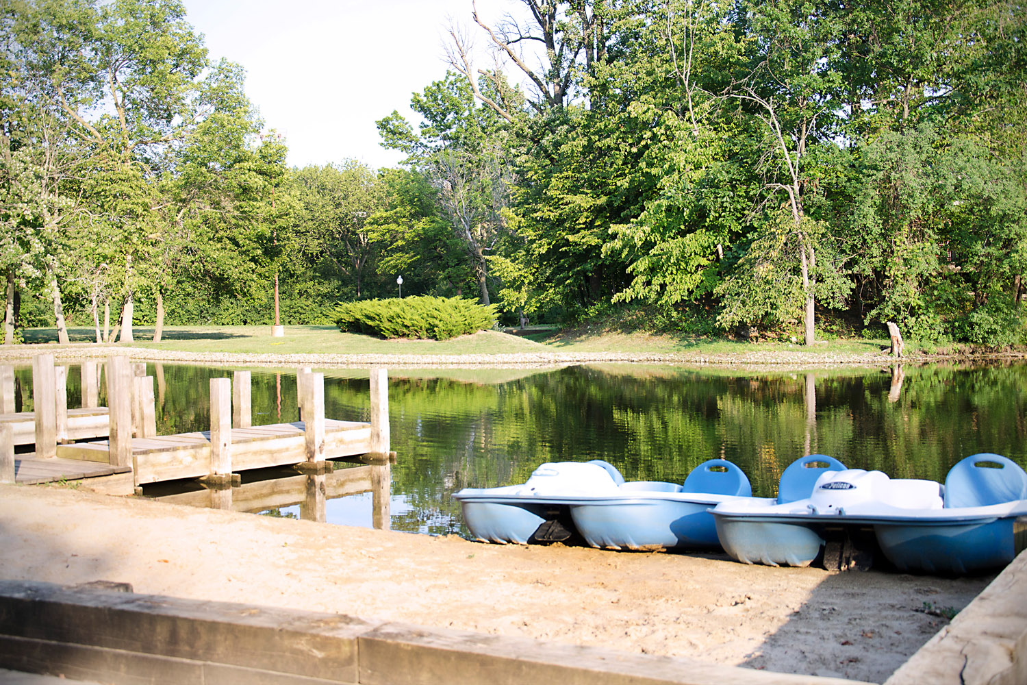 The Treehouse of Schaumburg Image 18