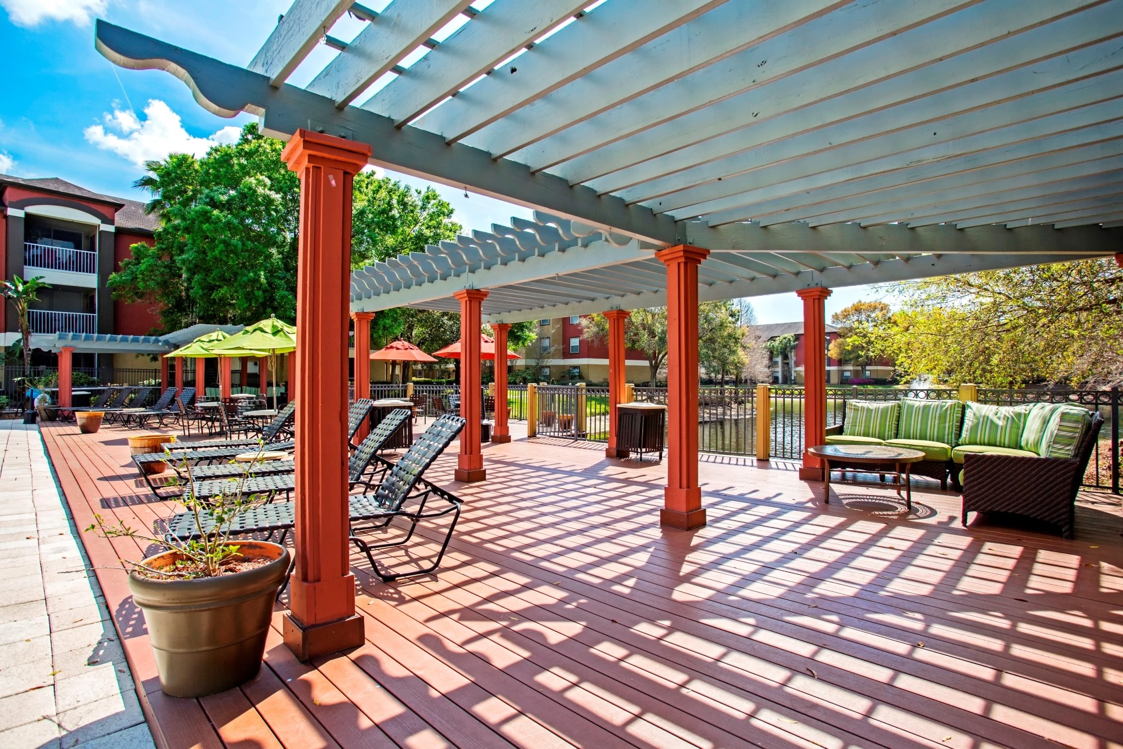 Sabal Palm at Carrollwood Image 12