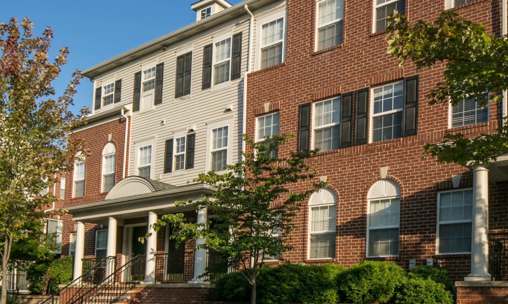 Main Street Village Image 7