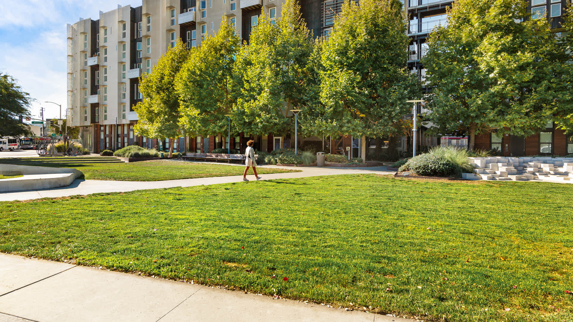 Potrero 1010  Image 19