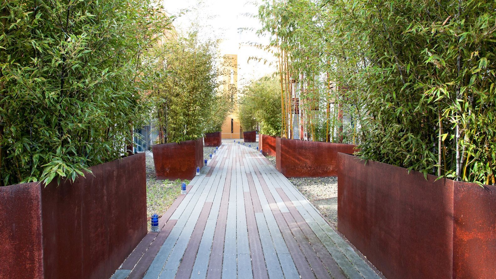 Soma Residences Image 6