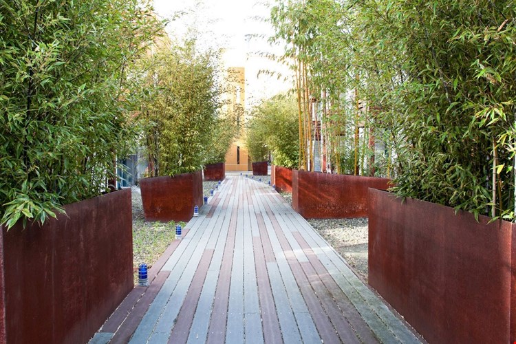 Soma Residences Image 6