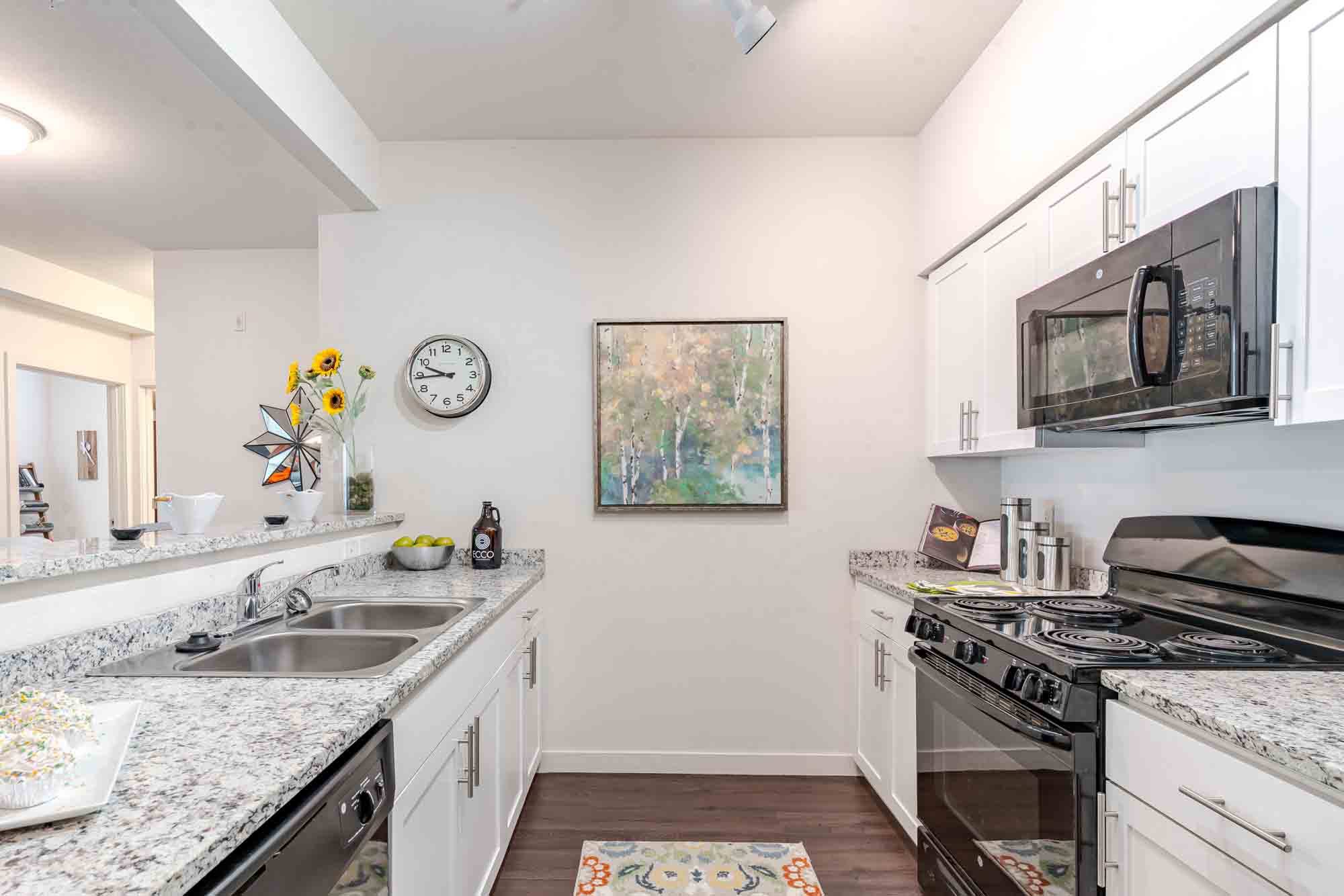 Ecco Apartments Image 5