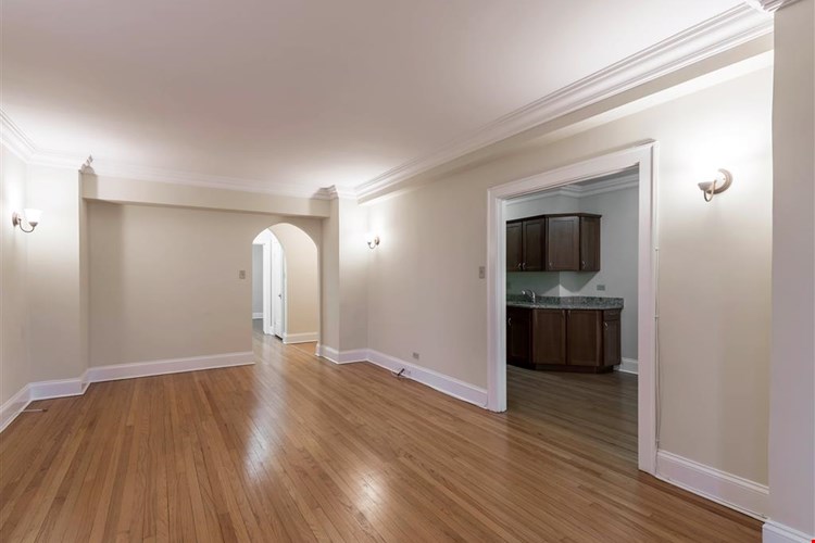 The Patricians Image 21