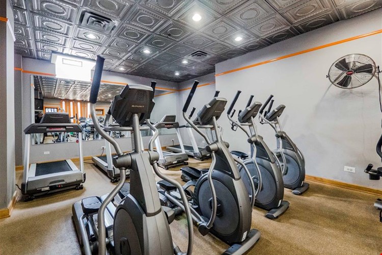 The Patricians Image 7