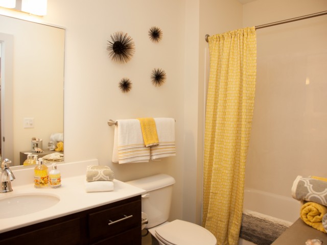 Excellent Vanity Space in Bathrooms