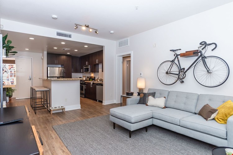 IMT Gallery 421 Image 1