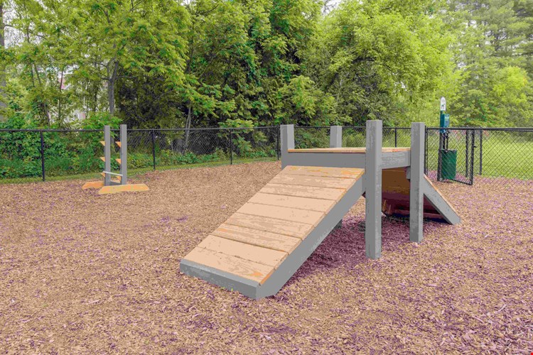 Unleash the fun in our off-leash dog park with exciting agility equipment, perfect for your four-legged adventurer.