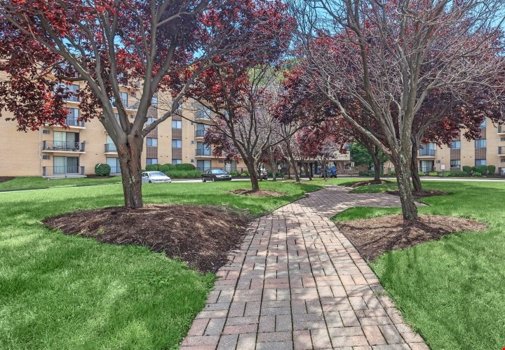 Lakeland Commons Apartments Image 3