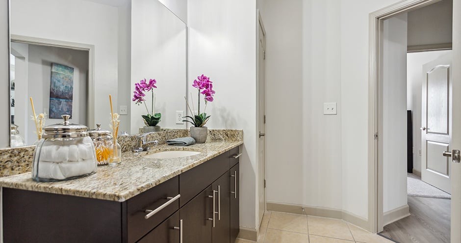 The Alexander at the District Apartments Image 11