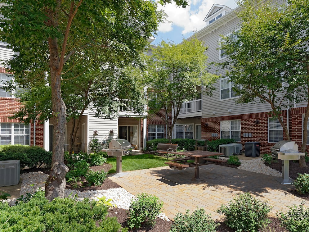 Courtyard with barbecue grills and picnic area