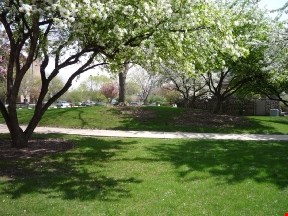 grounds
