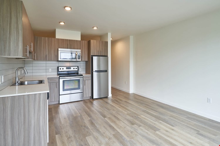 Springline  Image 59