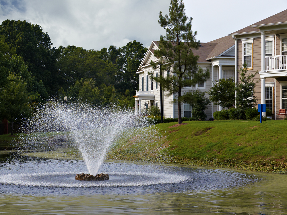 The Westbury Image 4