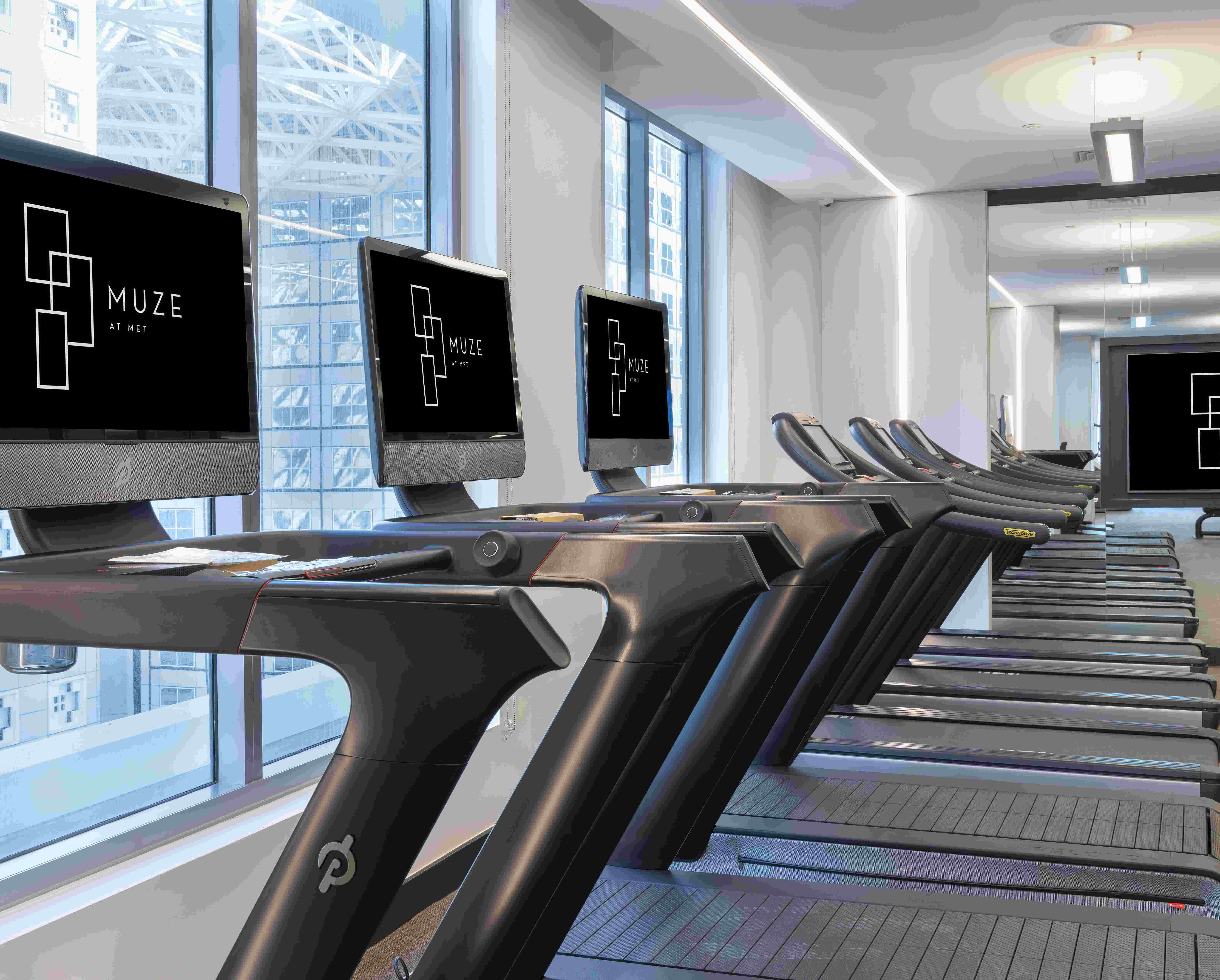 Muze at Met Image 11