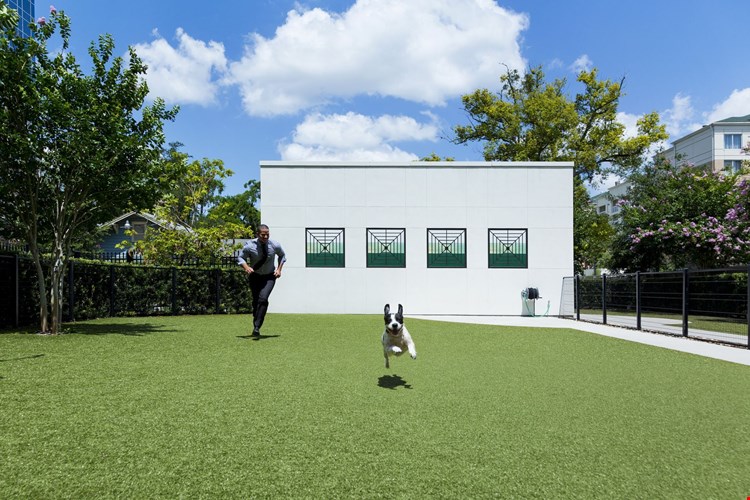 Camden North Quarter Image 24