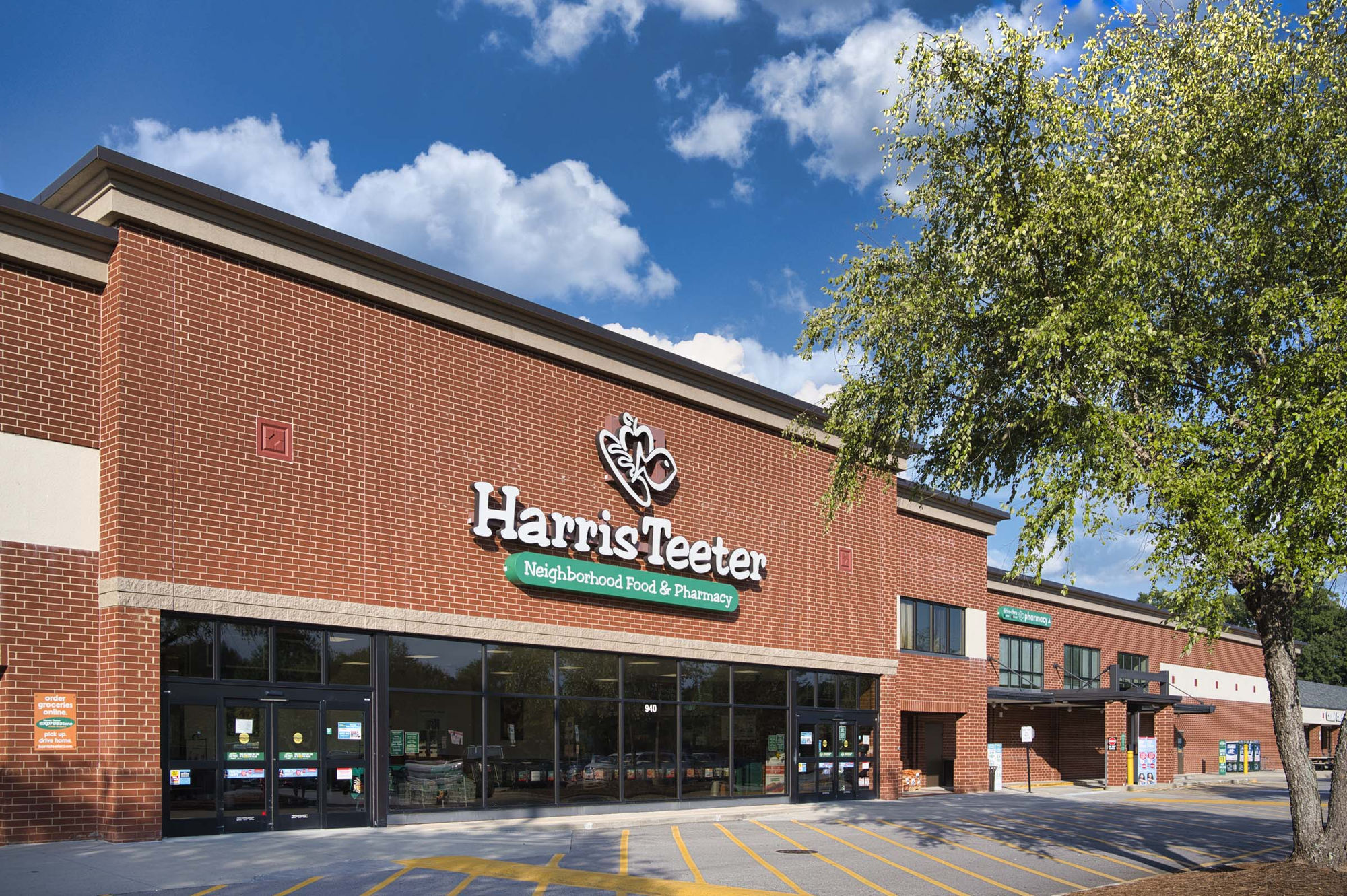 Camden Lake Pine Image 35