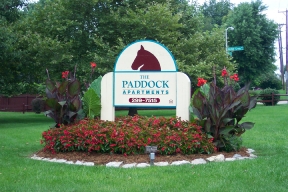 The Paddock Apartments Image 2