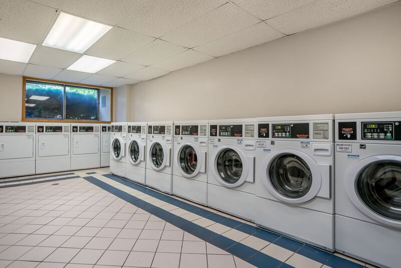 Forest Park Image 19