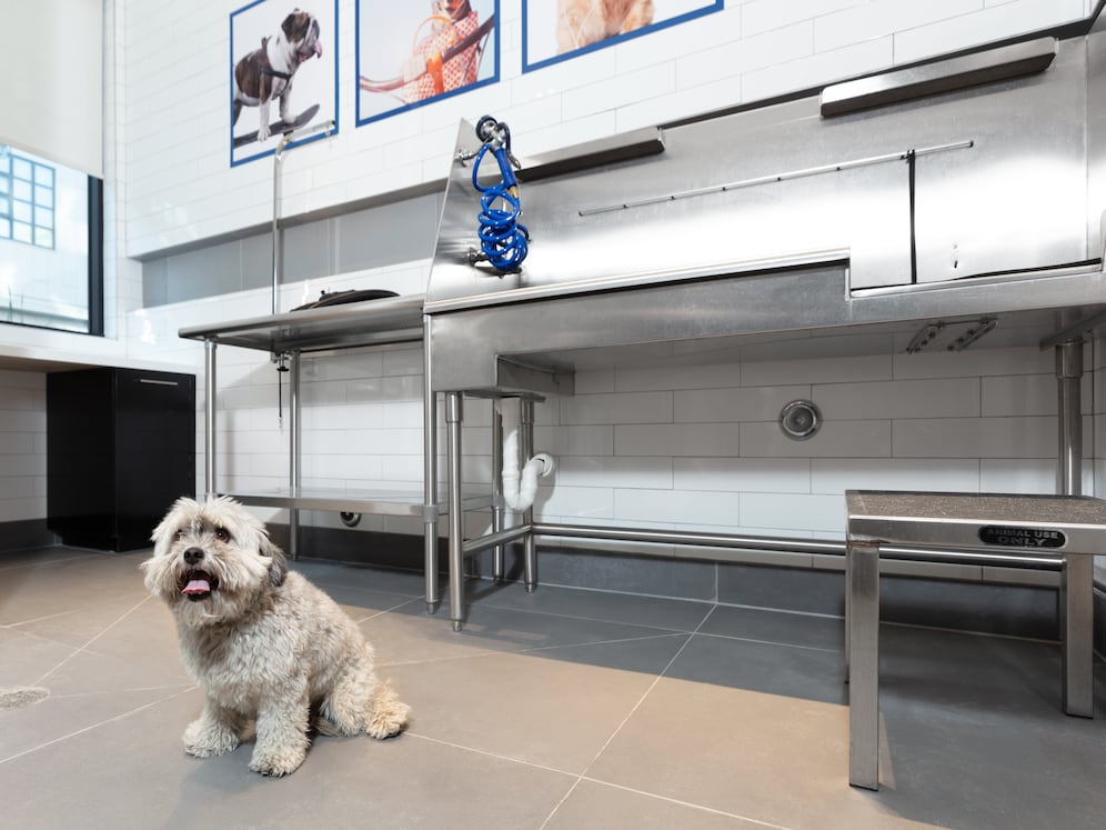 WAG Pet Spa