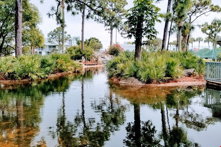 Lake in the Woods Image 18