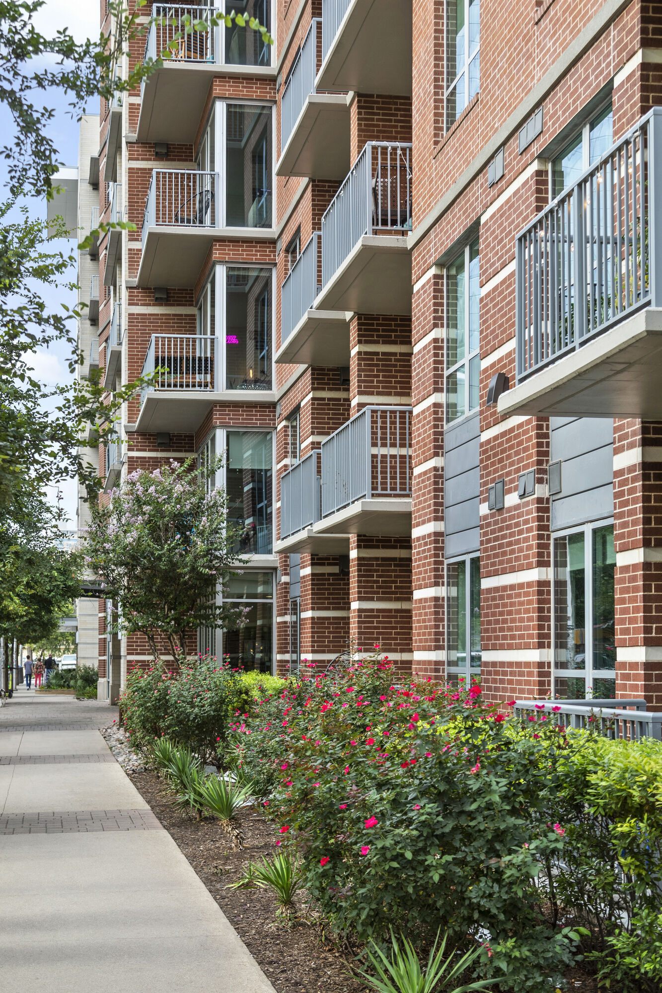 Camden Rainey Street  Image 21