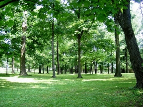 Washington Blvd Apartments Image 3