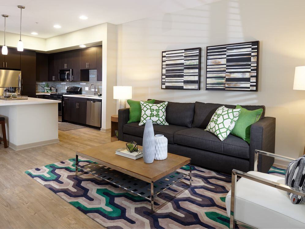 One Bedroom Apartment Living Room and Kitchen