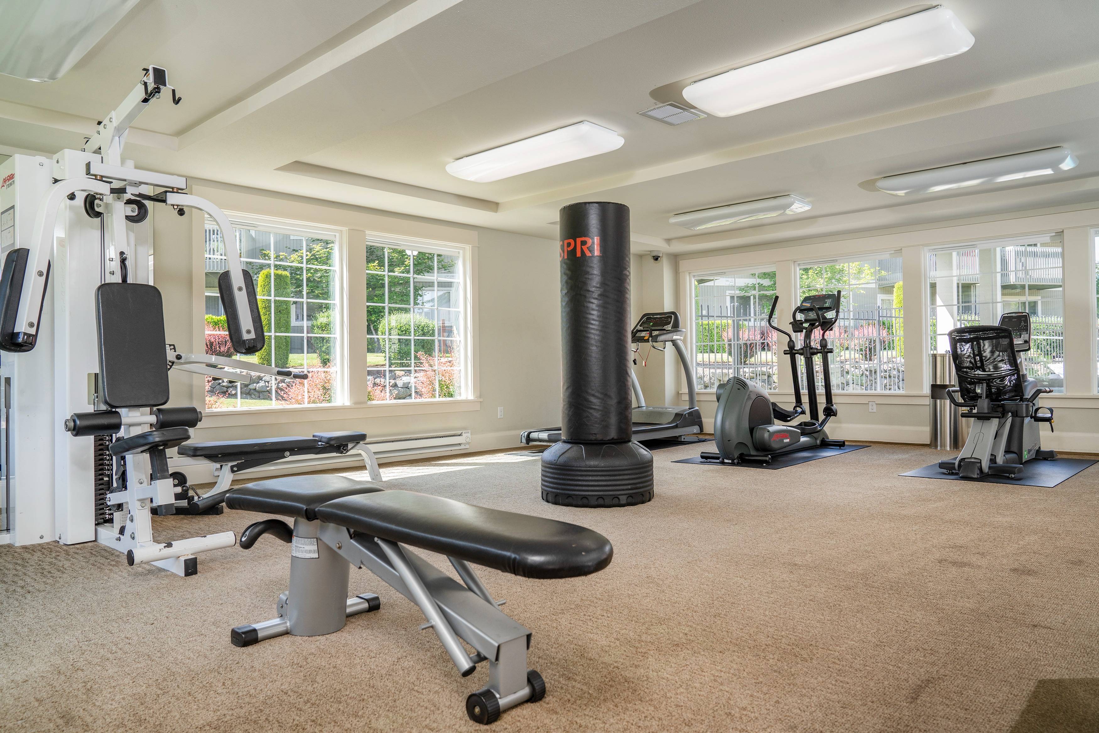 Trellis on Orchard Image 13