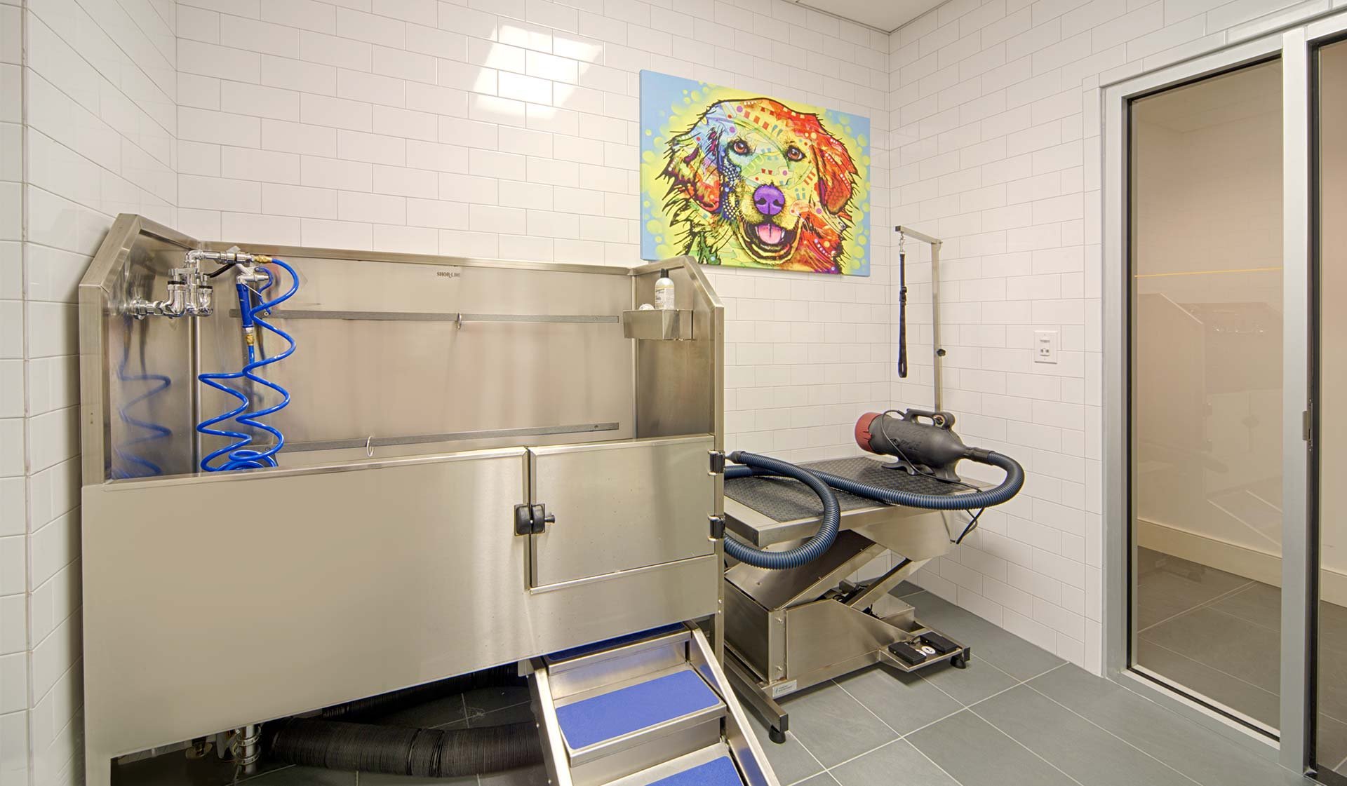 Convenient on-site pet wash station