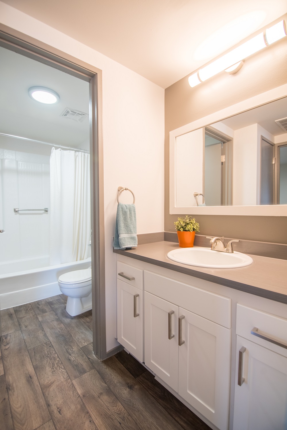 Country Lake Image 12