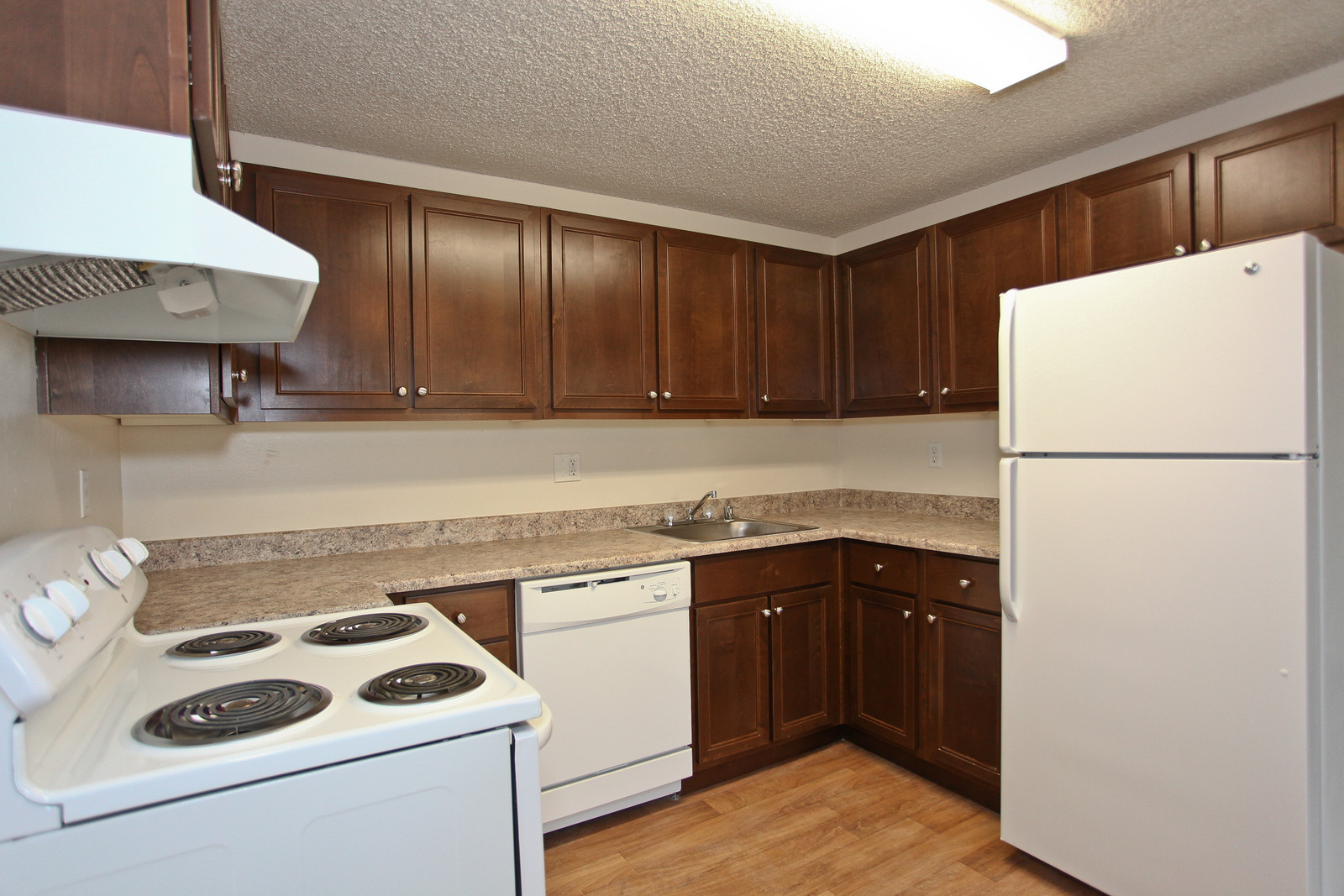 Trellis on Orchard Image 5