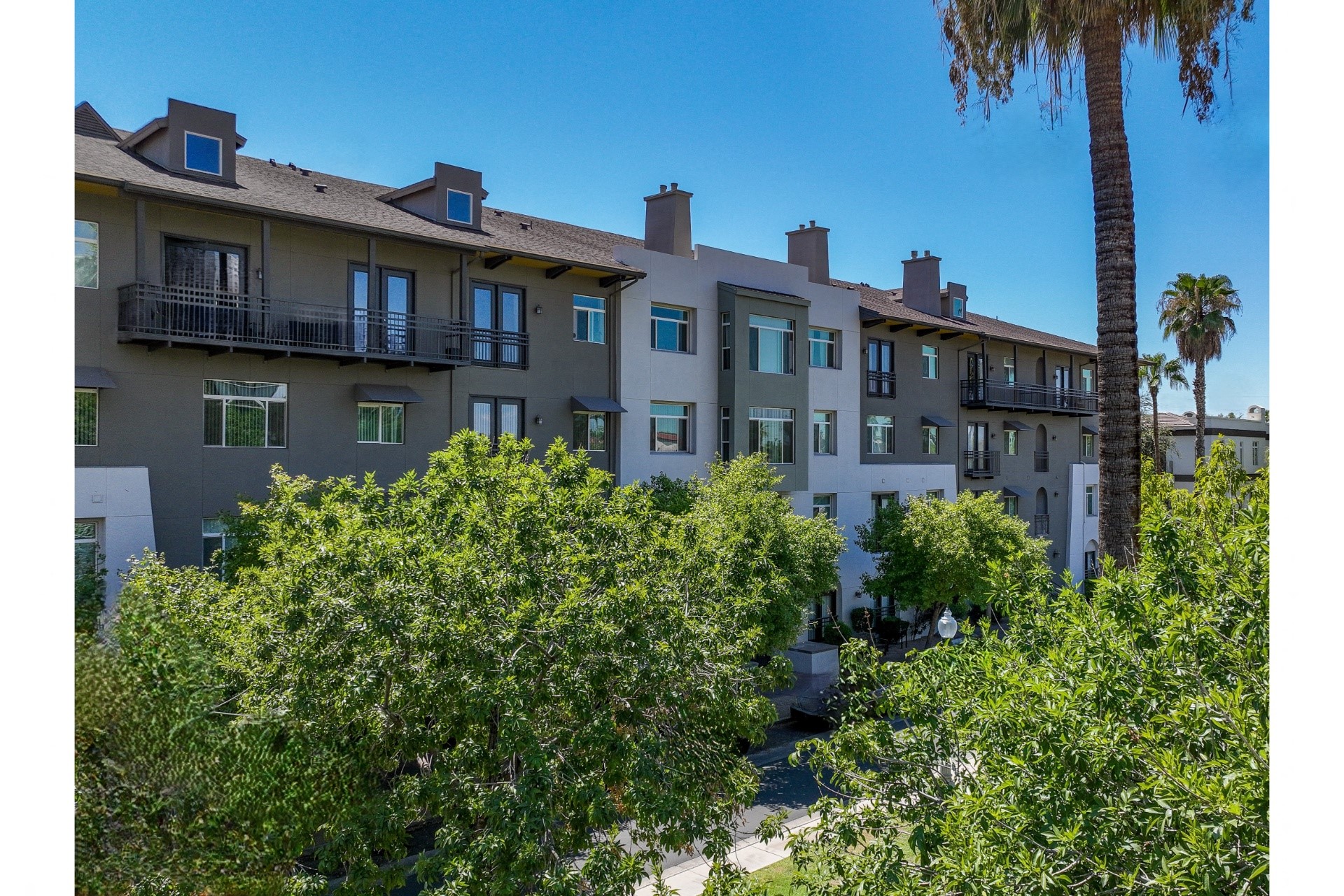 Roosevelt Square Image 31