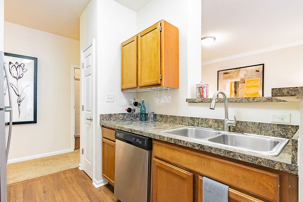 Elevate on main Image 10